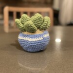 Succulent