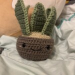 Snake Plant