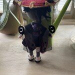Scaramouche Doll (Back)